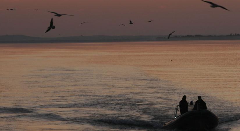 Veszélyes fajok közelítenek a Balatonhoz: kígyófejű halat is találtak - ennyi új halfaj bukkant fel