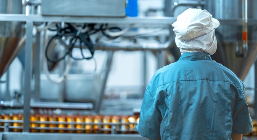 Rejtett szabályra figyelmeztet a NAV