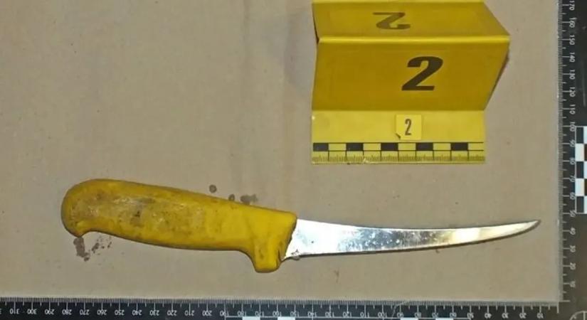 Gyilkosság Letkésen: saját fia végzett az idős áldozattal