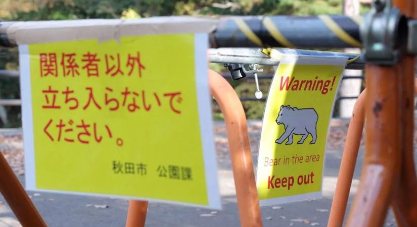 Brutális medvetámadás, gondozójára támadt a vadállat - videó