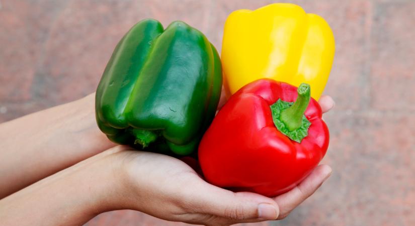Döntöttek: újra áramolhat be az import paprika ebbe a térségbe