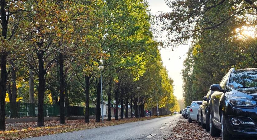 Ingyenes parkolás Debrecenben: már igényelhető