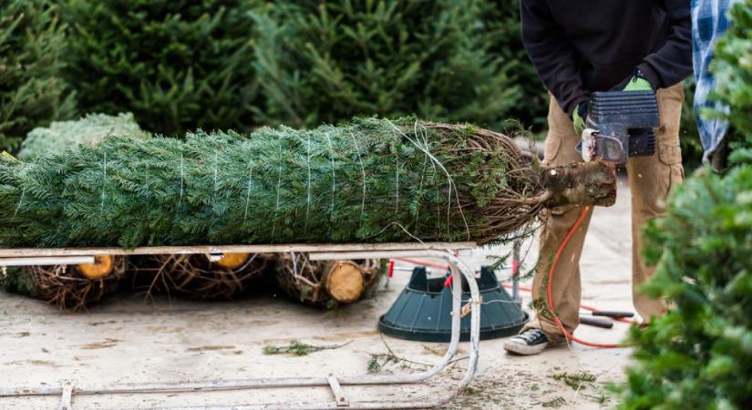 Ünnepi vészhelyzetek a küszöbön: alig van megbízható szakember