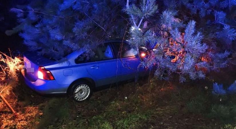 Vadgázolás és bejelzett szén-monoxid-érzékelő miatt is riasztották a tűzoltókat