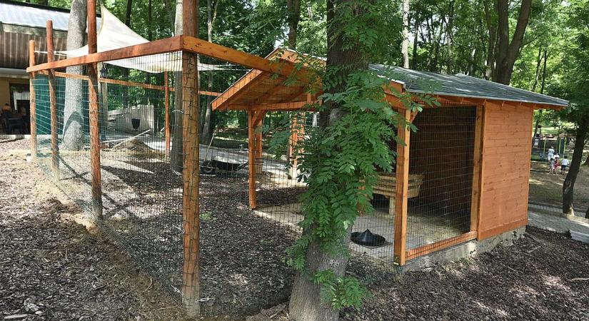 Elképesztő, hova zárták be az értelmi fogyatékos nőt