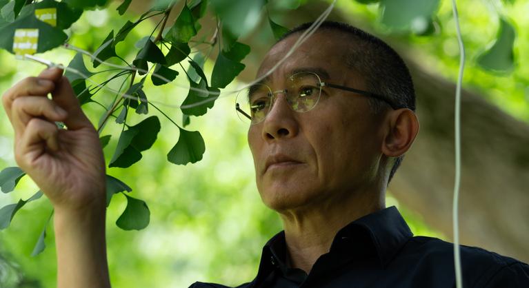 Teltházas premier előtti vetítések 18 városban, már látható a díjnyertes magyar alkotás