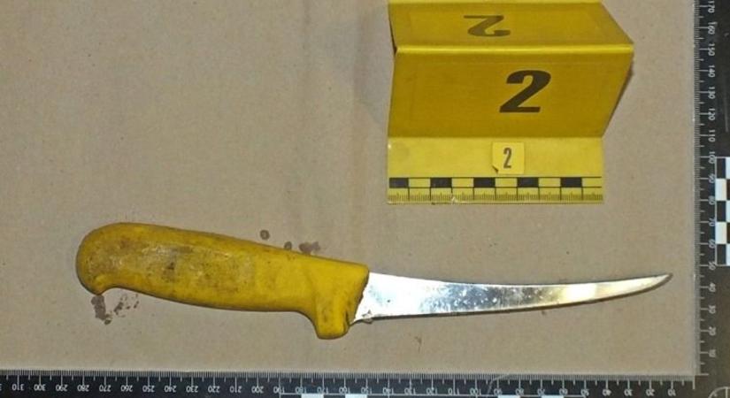 Vérfagyasztó: A letkési apagyilkos először mindent tagadott, majd a rendőröknek részletesen bevallotta tettét