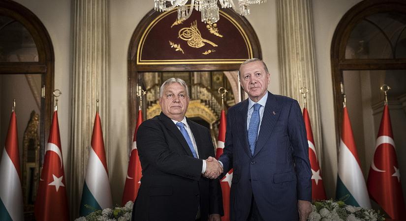 Lókupecnek állt Orbán Viktor: 600 lovat adott el a törököknek