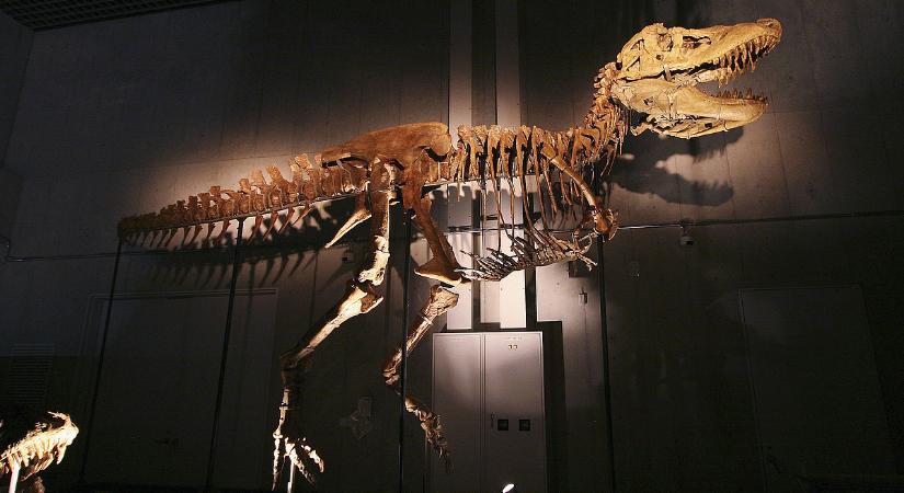 Tíz évig szüttyögtek az csontok felett, de végül győzött az elkötelezettség