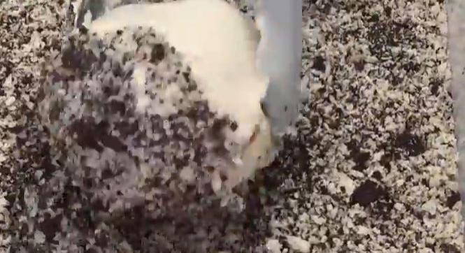 Ha nem tudod, hogy ünnepekkor fagylaltot vagy desszertet kérjél vacsora után – A nap videója