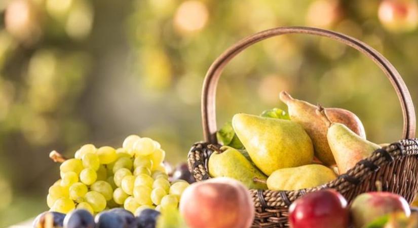 Rostokkal a stabilabb vércukorszintért – így csináld okosan!