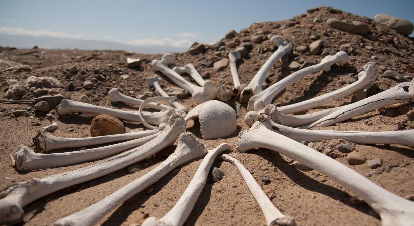 Iszonyatos ősi csontpiramist találtak Amerikában, a tudósok a halál leheletét érezték a tarkójukon a felfedezésnél