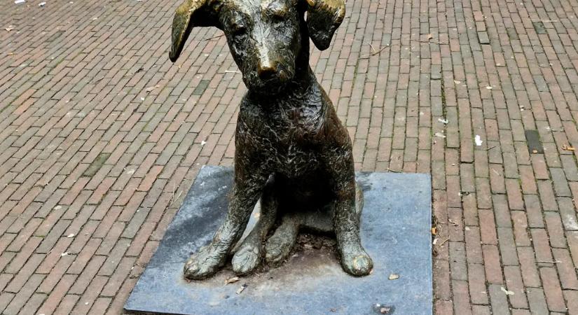Hogy kerül Budapest neve egy ikonikus hollandiai bronzszobor mellé?
