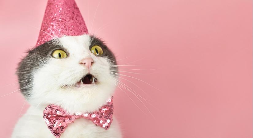 Ezek lesznek a csillagjegyed szerencsenapjai decemberben – Mi szóltunk!