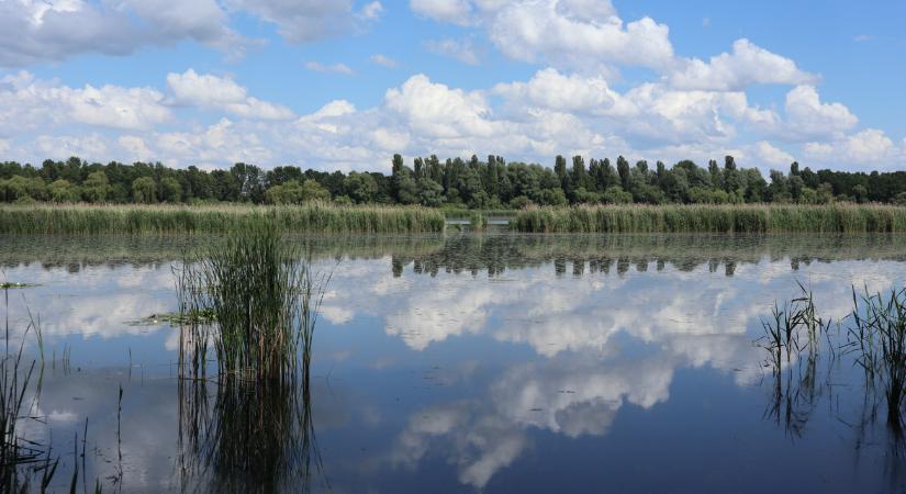 Súlyos gaztettre derült fény a Balatonnál – képek