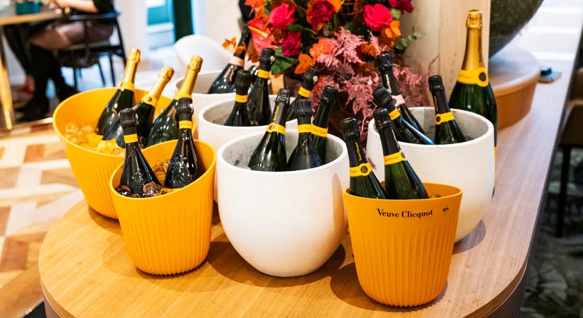 Vince Klub – egy elit borklub, amihez jó tartozni!