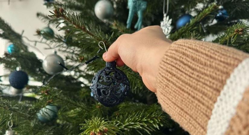 Műfenyő vagy igazi? – Pro és kontra érvek