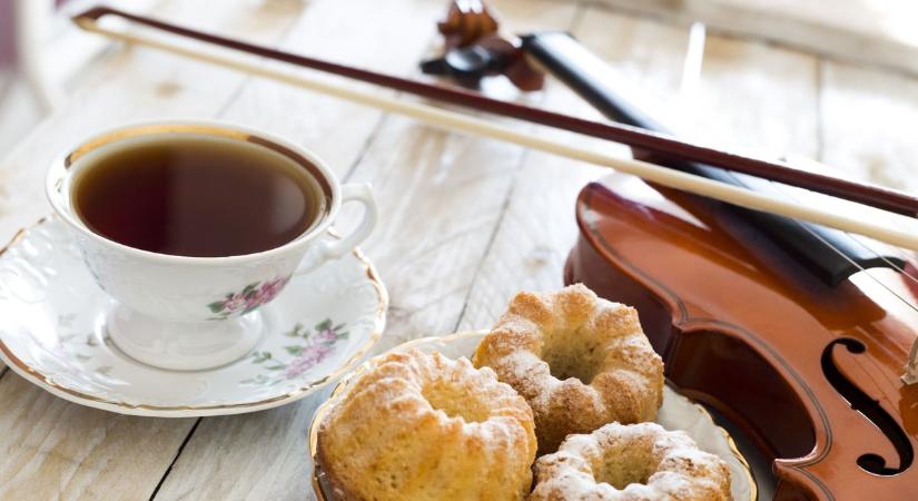 Zenebuborék, kertészeti beszélgetés, 75 nap az óceánon - számos inspiráló előadás várja a pécsieket!