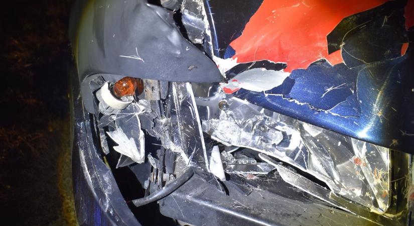 Vadak az úton: életveszélyes helyzetek a 71-es és 82-es főutakon (galéria)