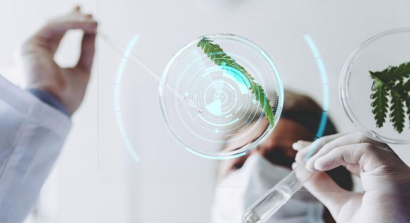 Magyar diákok taroltak a Nemzetközi Junior Természettudományi Olimpián – szolnoki versenyző is a legjobbak között