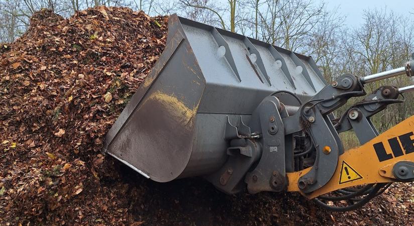 “Hull az elsárgult levél” – de Győrben ez nem jelentett gondot!