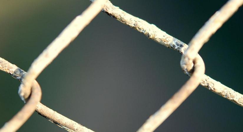 Elszabadult vadászkutyák támadtak egy idős férfira az óvári járásban