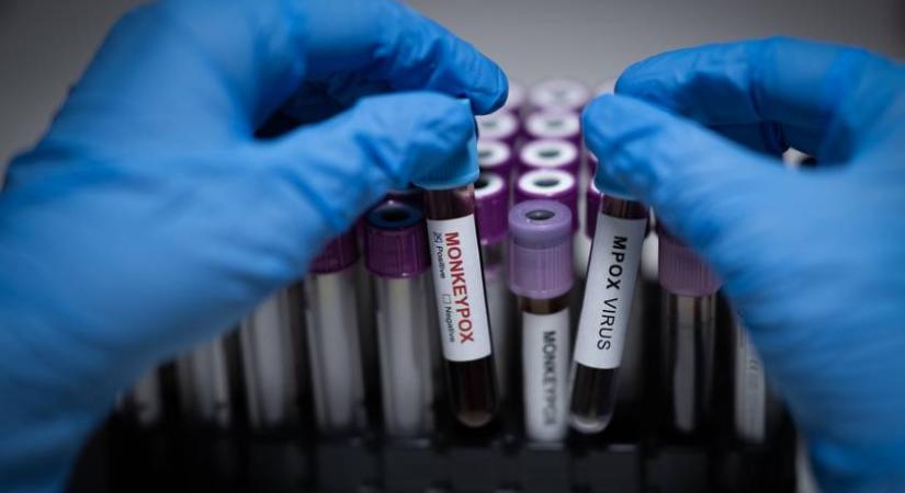 A veszélyes vírus új törzse jelent meg Európában – ezt kell tudni róla