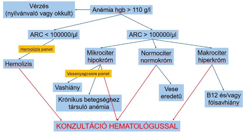 Anémiás beteg kivizsgálása az első észlelés során