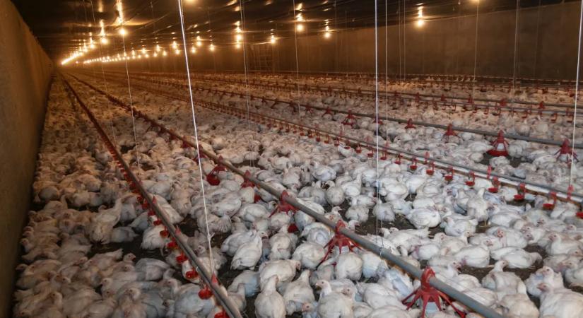 Az EU utolsó nagy dobása lehet, de az elveit sajnos fel kell adnia érte