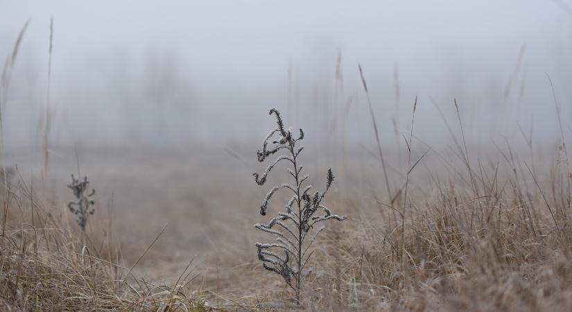 Ködös reggel után borongós délután kedden
