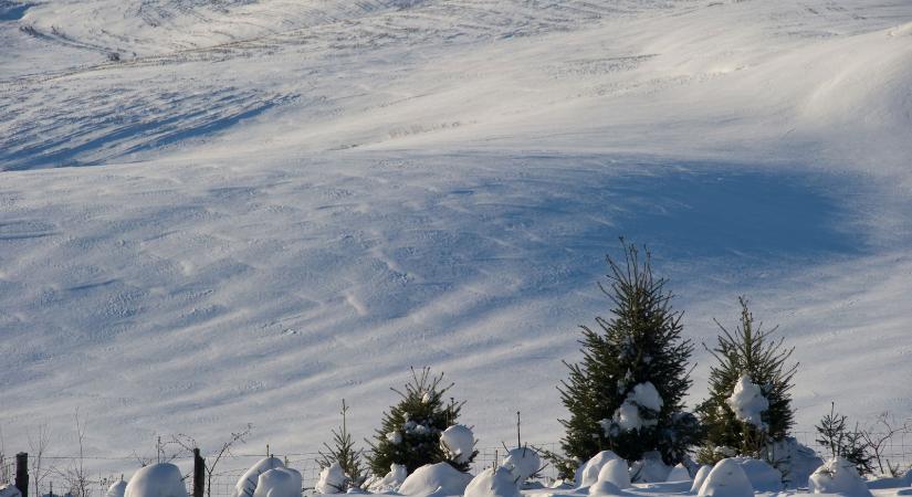 Ekkor tör be a havazás hazánkba, a dátum sokakat elborzaszt majd, jelenleg ezt mondják az időjárás-előrejelzések?