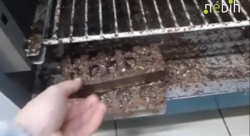 Bezárattak egy édességgyártót, olyan borzalmas körülmények voltak – itt vannak a részletek