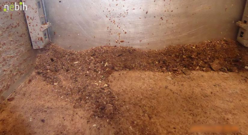 Azonnal leállították a magyar édességgyárat, ilyet nem lehet csinálni, a Nébih nem könyörült