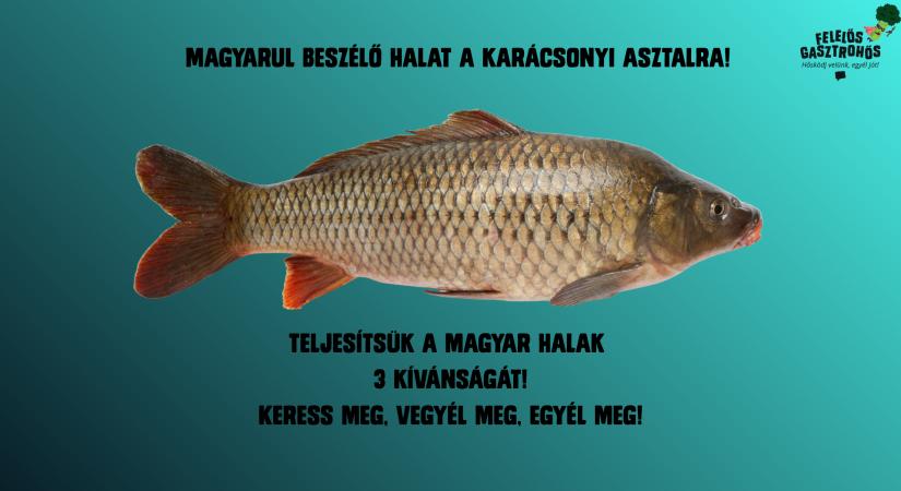 Tegyünk „magyarul beszélő” halat a karácsonyi asztalra!