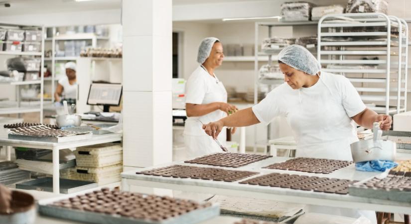 Lecsapott a Nébih az édességgyártóra: sokkoló, mit találtak