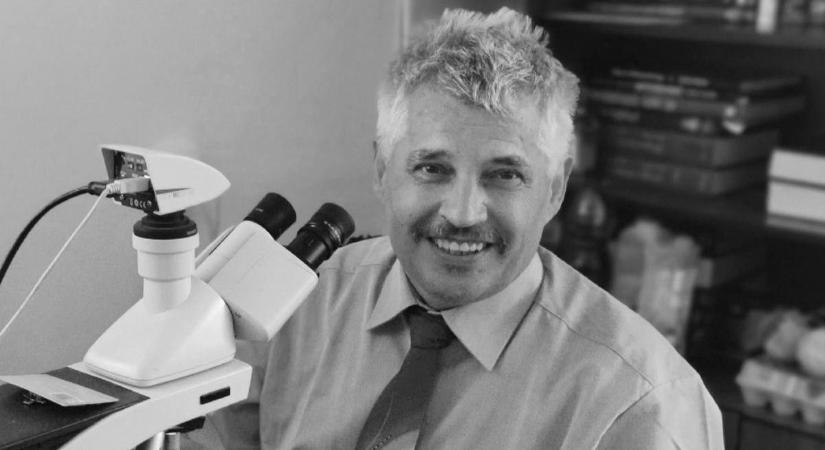 A Siófoki Kórház megrendülten búcsúzik orvosától