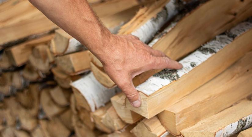 Öltönyben állt be fát pakolni Márki-Zay Péter, videón, ahogy gálaruhában parádézik az utánfutónál