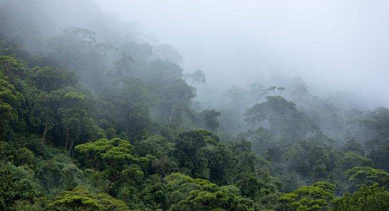 Rejtélyes, elszigetelt közösségre bukkantak a semmi közepén
