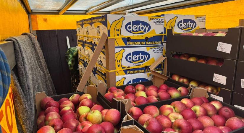 Kedvezményes almavásár érkezik Pápára: így segít a DK az adventben