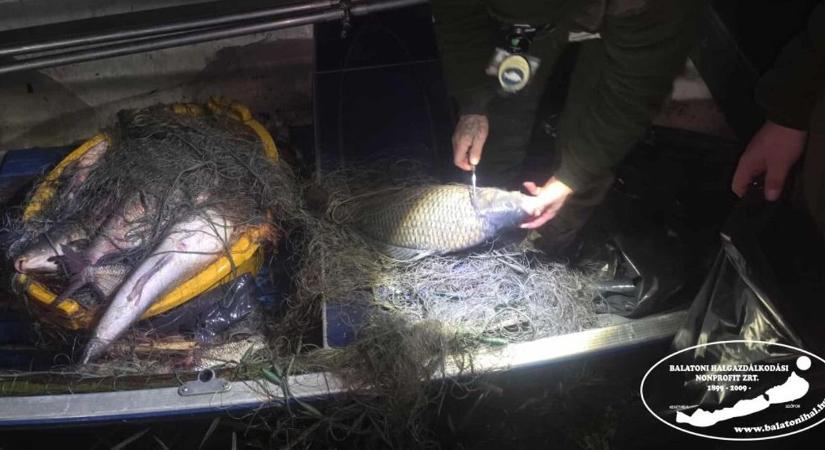 Hatalmas fogás: orvhalászokat értek tetten a Kis-Balatonon