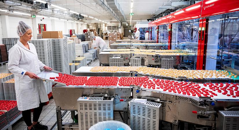 Súlyos élelmiszerbiztonsági kockázat: felfüggesztettek egy Vas vármegyei édesipari üzemet