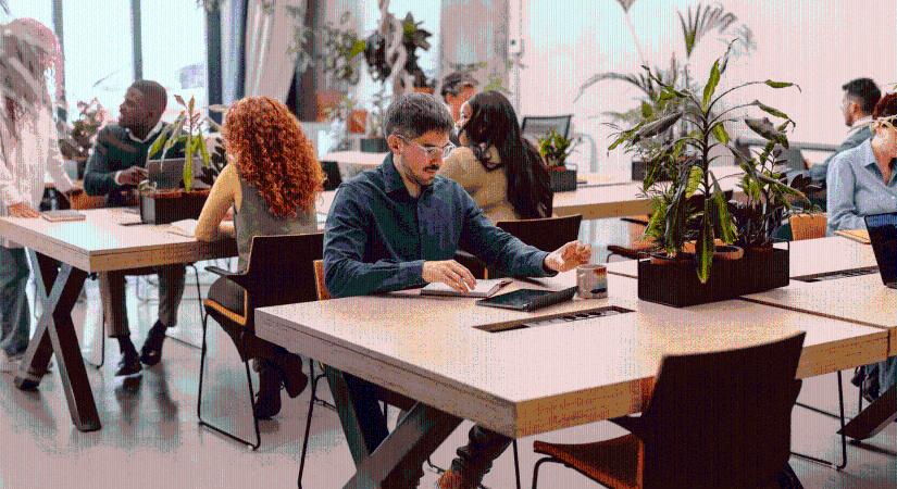 „Kényszervállalkozók” vagy a jövő munkavállalói? Robban a szabadúszó piac