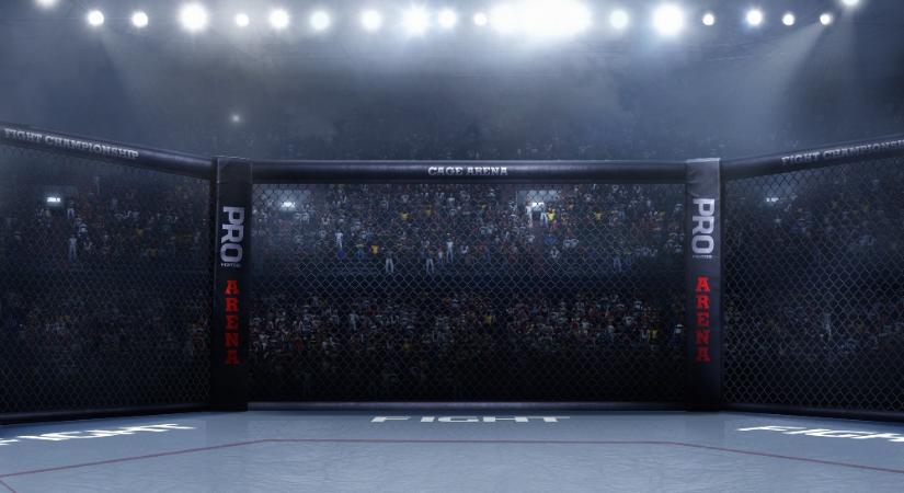 Trump szerint akár kilenc ketrecharcos címmecs is lehet a Fehér Ház kertjében