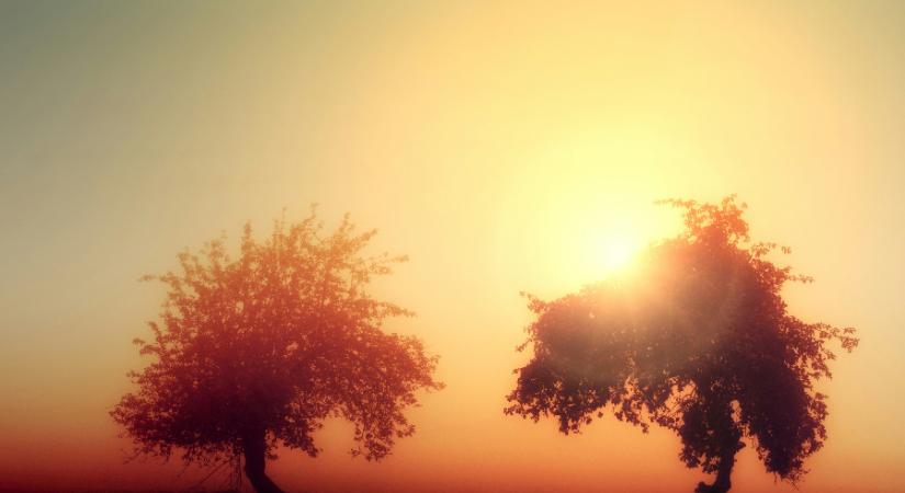 Olyasmi vész el holnapra, amit nem lehet a polcról levenni