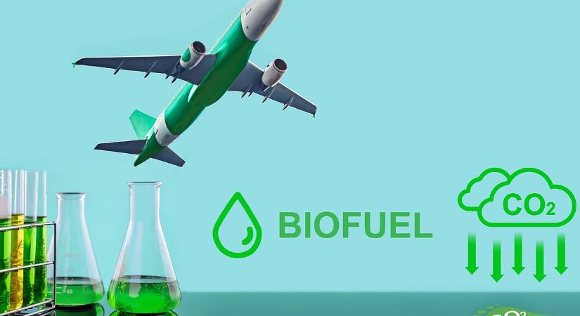 A napraforgótól a repülőig: így léphet be Magyarország Európa új energiaiparába