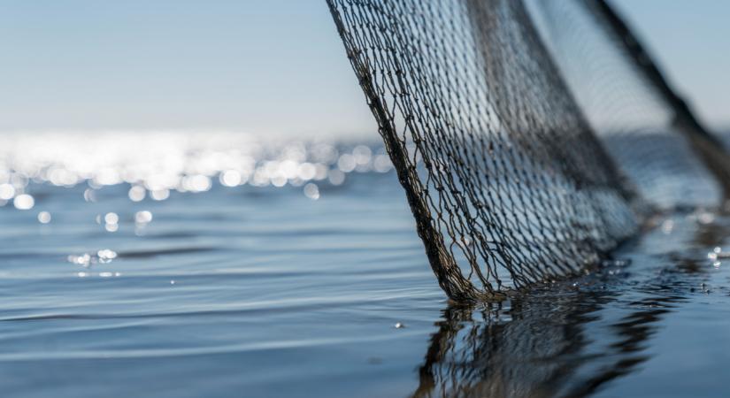 Orvhalászokat buktattak le a halőrök: hihetetlen, mivel próbálkoztak