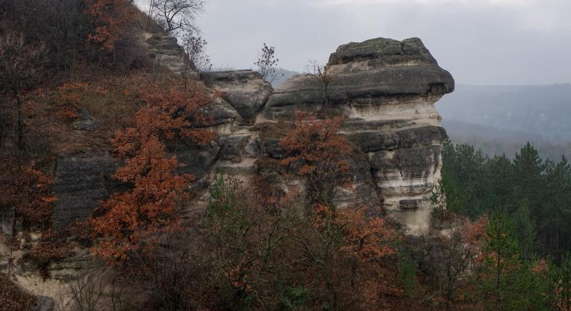A biatorbágyi Nyakas-kő: különleges kirándulóhely, amit télen is érdemes felkeresni