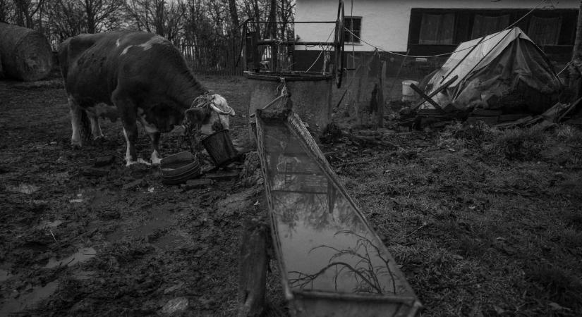 Kegyetlen vetítés: ötven embert zártak össze hét és fél órára a Belvárosi Moziban (videó)