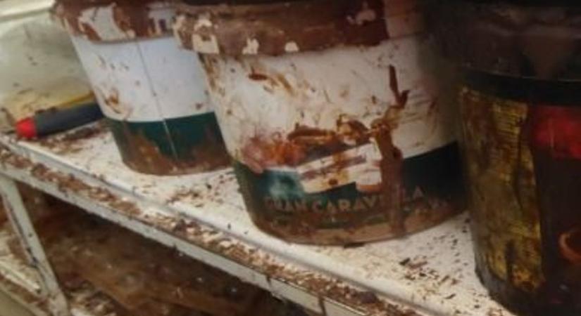 Vasi csokigyártó üzemet zárt be a Nébih, gyomorforgató felvételeken a szombathelyi műhely (videó)