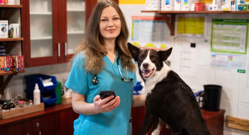 Elindult a magyar fejlesztésű PetWiseCare applikáció